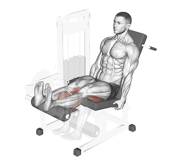 Seated Leg Curl Gif