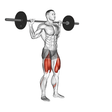 Barbell Lateral Lunge Gif