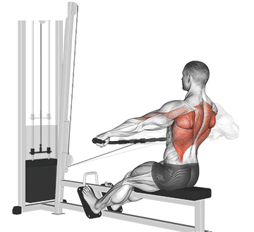 Seated Cable Row Gif