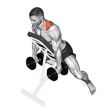 Incline Prone Dumbbell Shrugs Gif