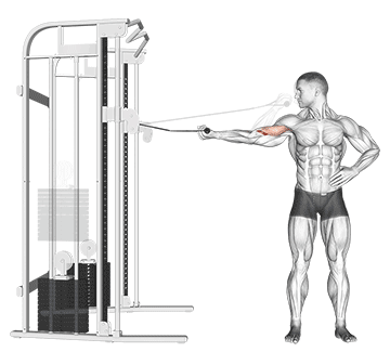 One Arm Cable Curl