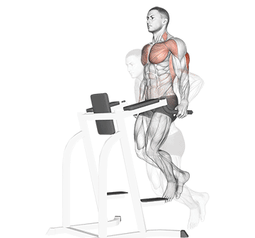 Tricep Dips Gif