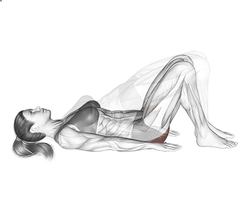 Glute Bridge Gif