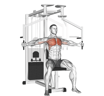 Lever Chest Press