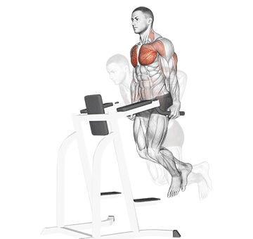Chest Dips Gif