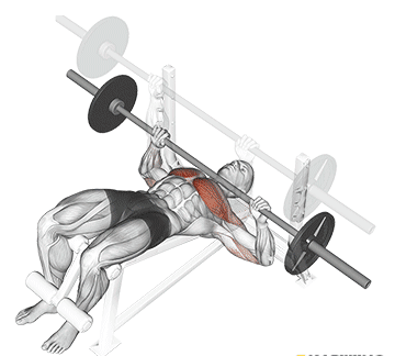 Decline bench press Gif