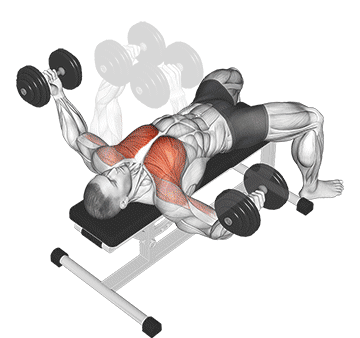 Dumbbell Flyes Exercise