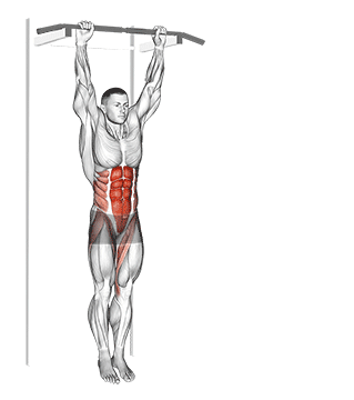 Hanging Knee Raises