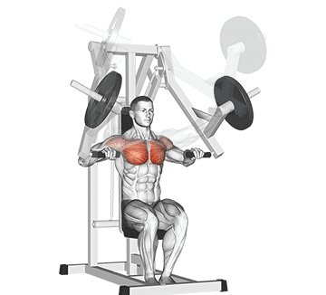 Lever Chest Press