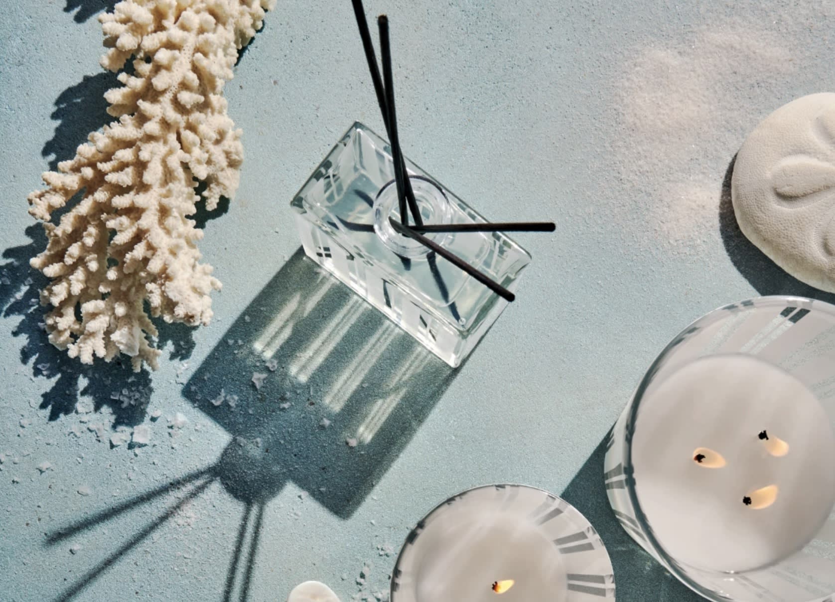 Featured Case Studies - Nest New York