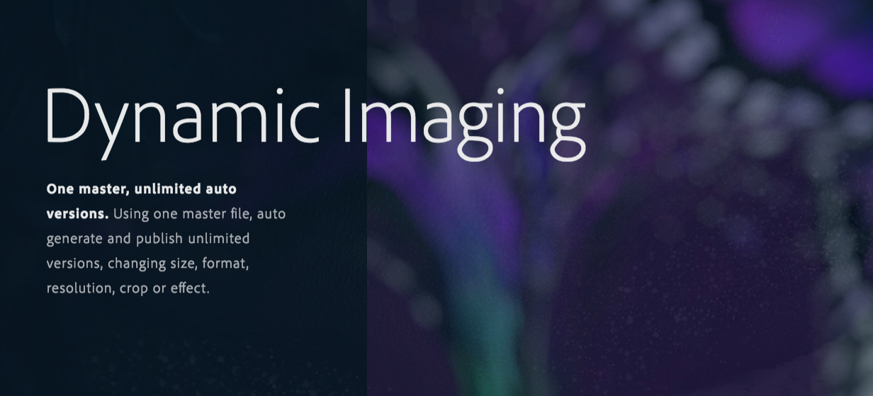 adobe experience manager dynamic media