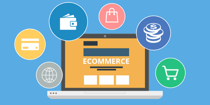 The Different Types of e-Commerce | Trellis Inc.