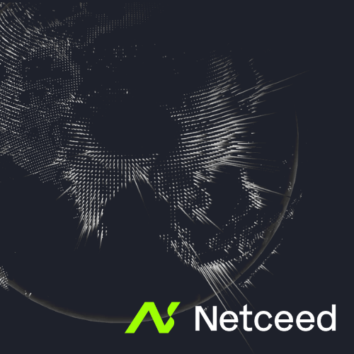 case study for Netceed