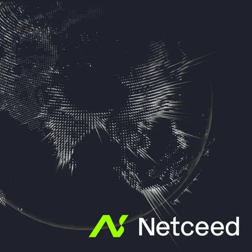 Netceed case study