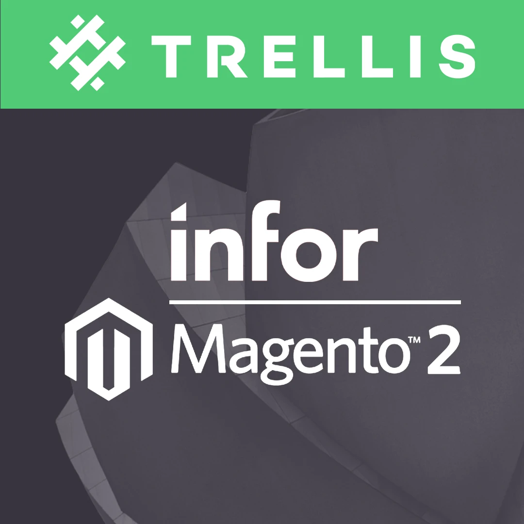 Magento 2 Infor Integration