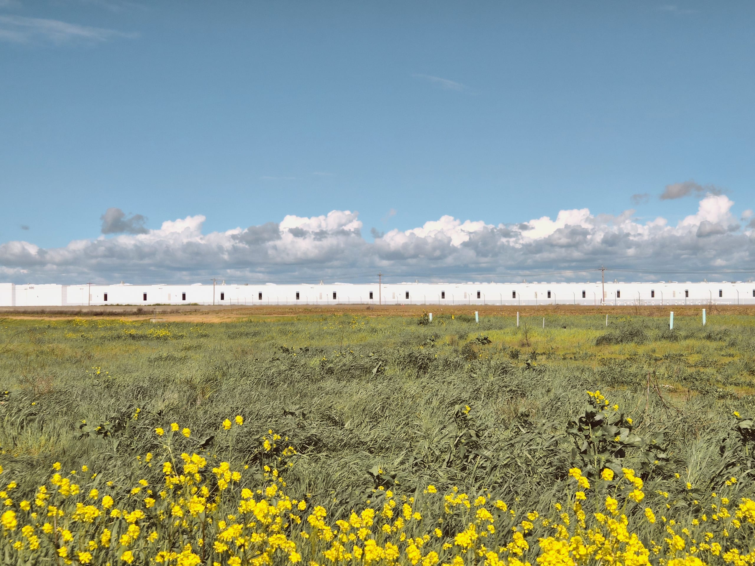 20260219_130530_edited