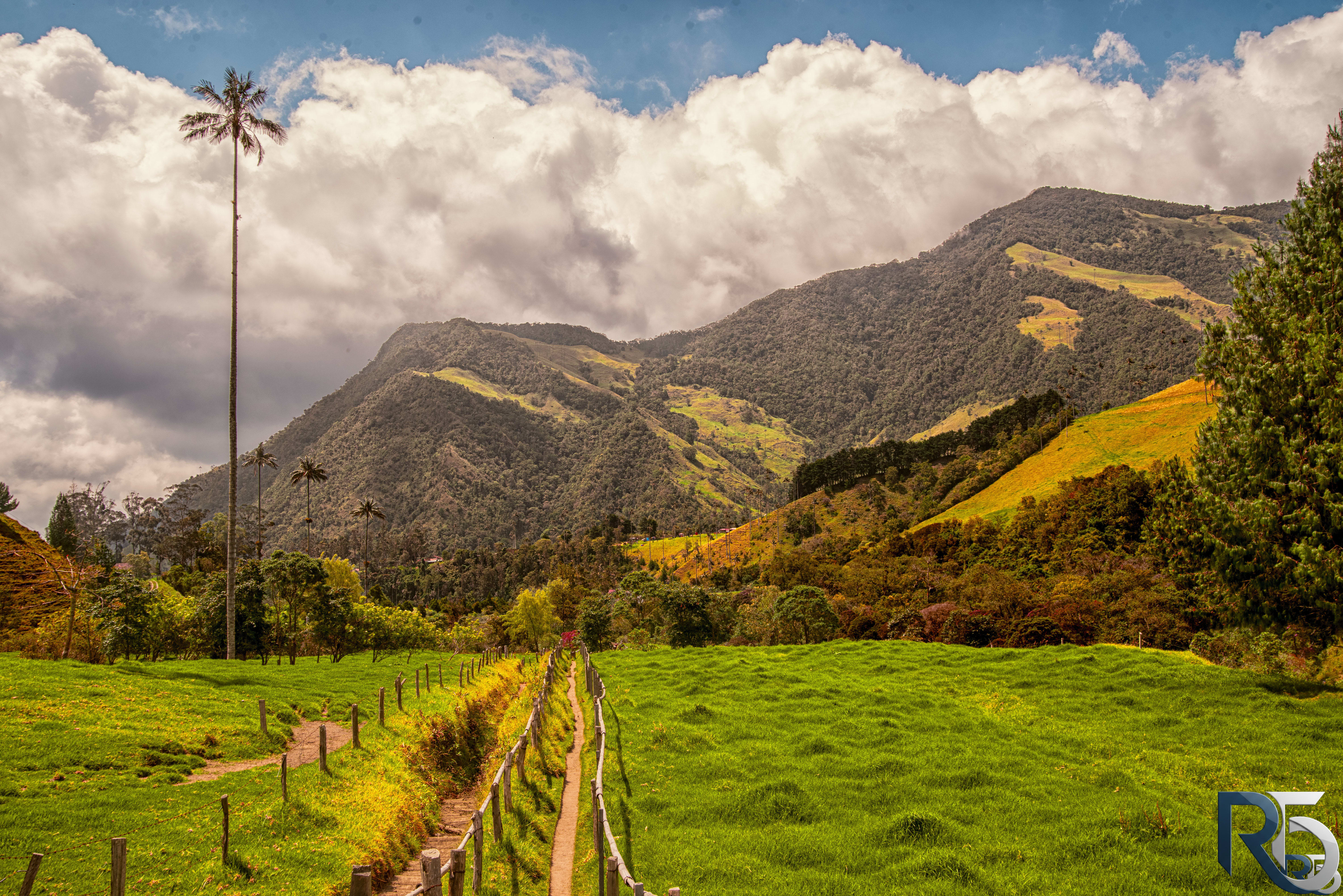 Mist over the valley, Salento Colombia