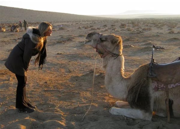 Meet Young Leadership Council Member: Samantha Wenig