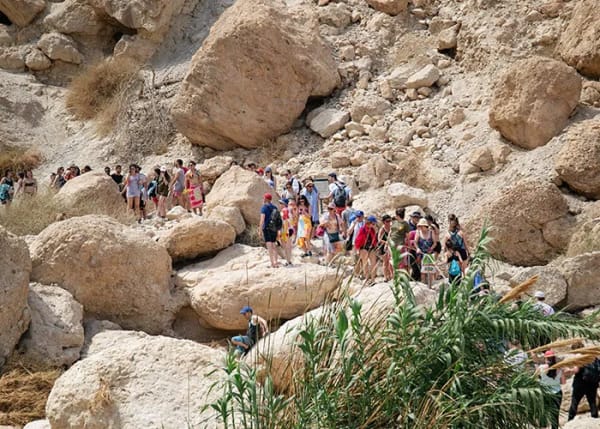 Kohelet's Lessons For A New Year