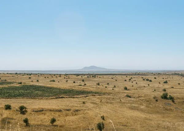 Birthright Israel through Luis Burgos' 35mm Photos