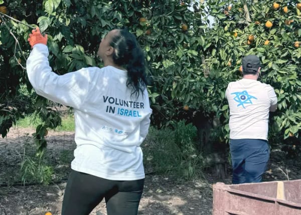 700x500_Brandeis-May-2025