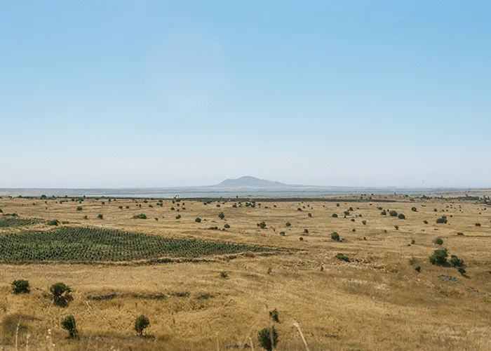 Birthright Israel through Luis Burgos' 35mm Photos