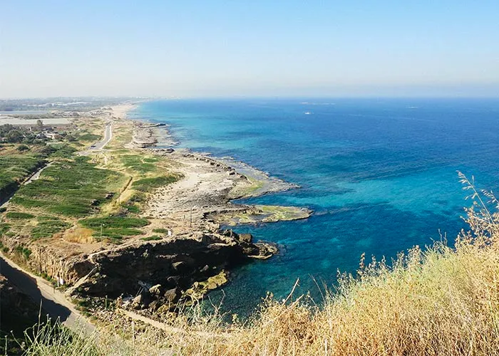 roshhanikra_featimage2020