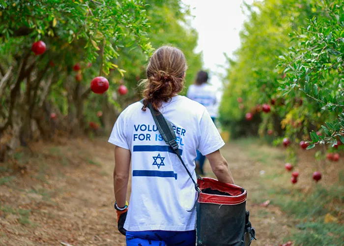 Video: How Young Jewish Adults Are Assisting Food Rescue Operations in Israel