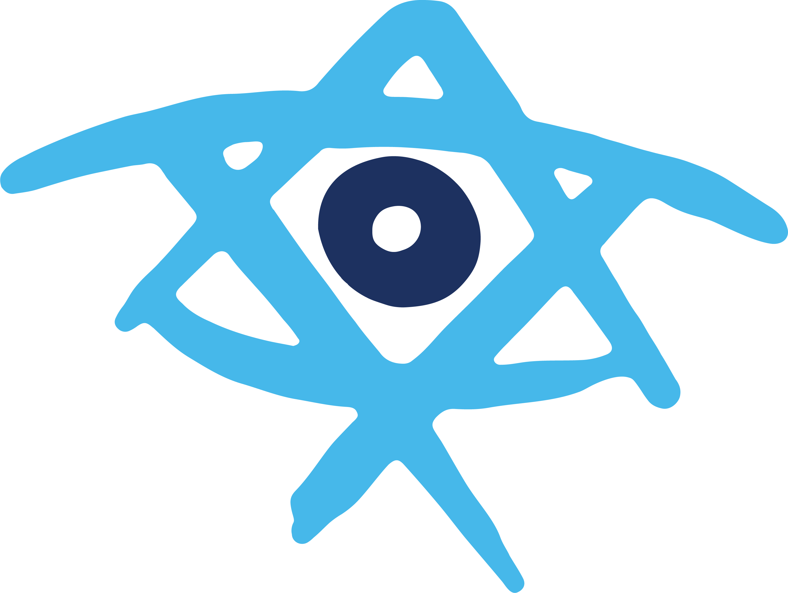 Birthright Israel Foundation