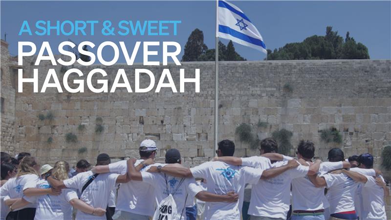 A Short & Sweet Passover Haggadah