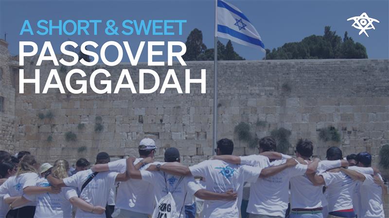 Happy Passover! Our Birthright Israel Haggadah and a Special Recipe