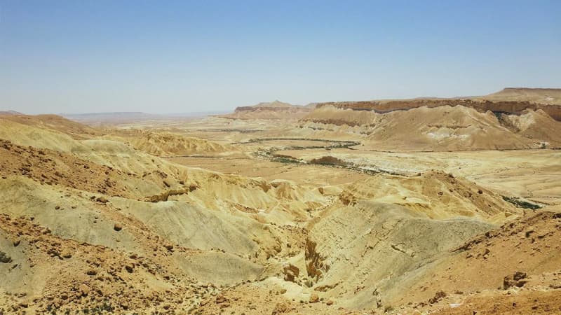 The Negev 