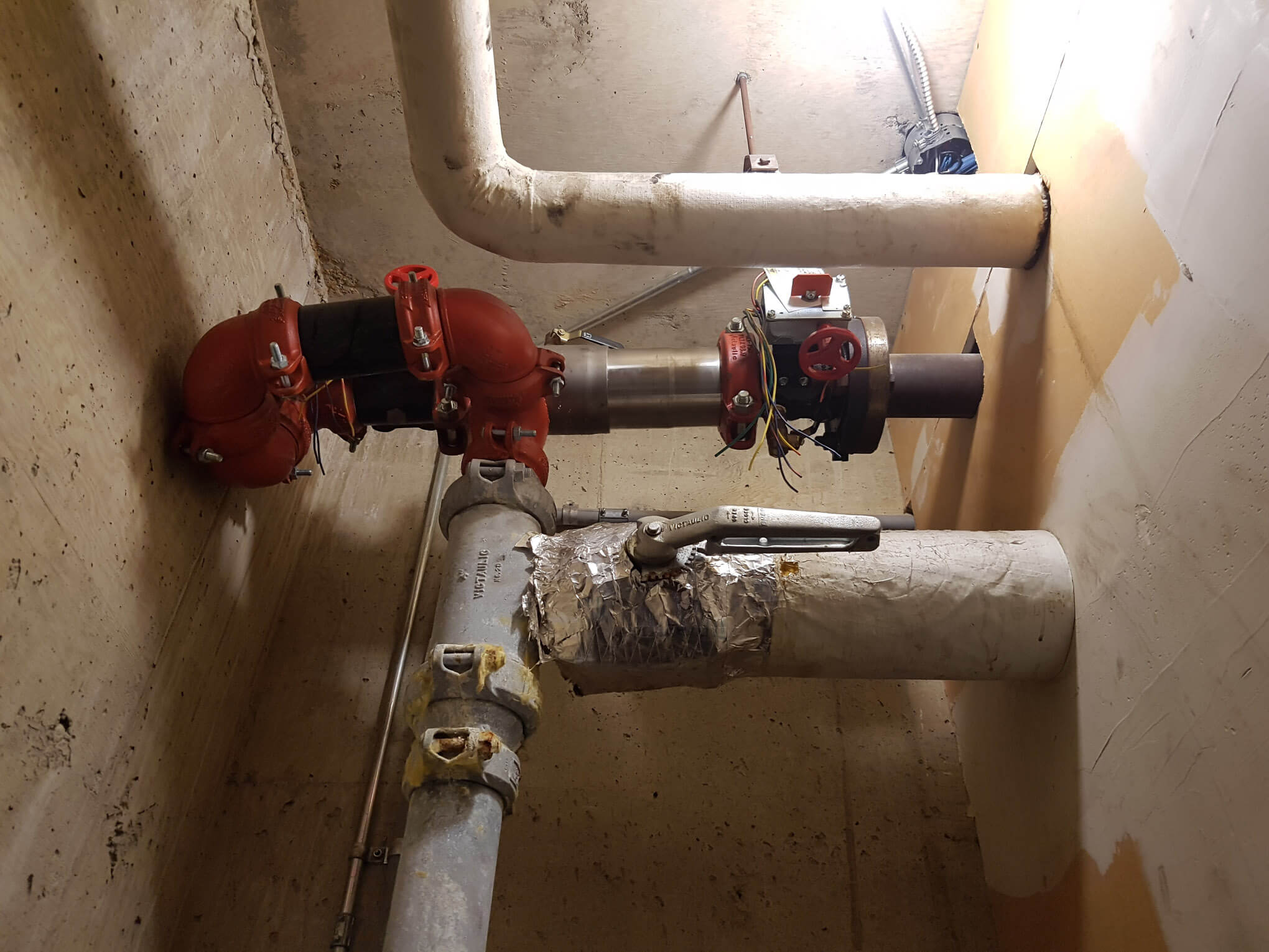 Backflow test image