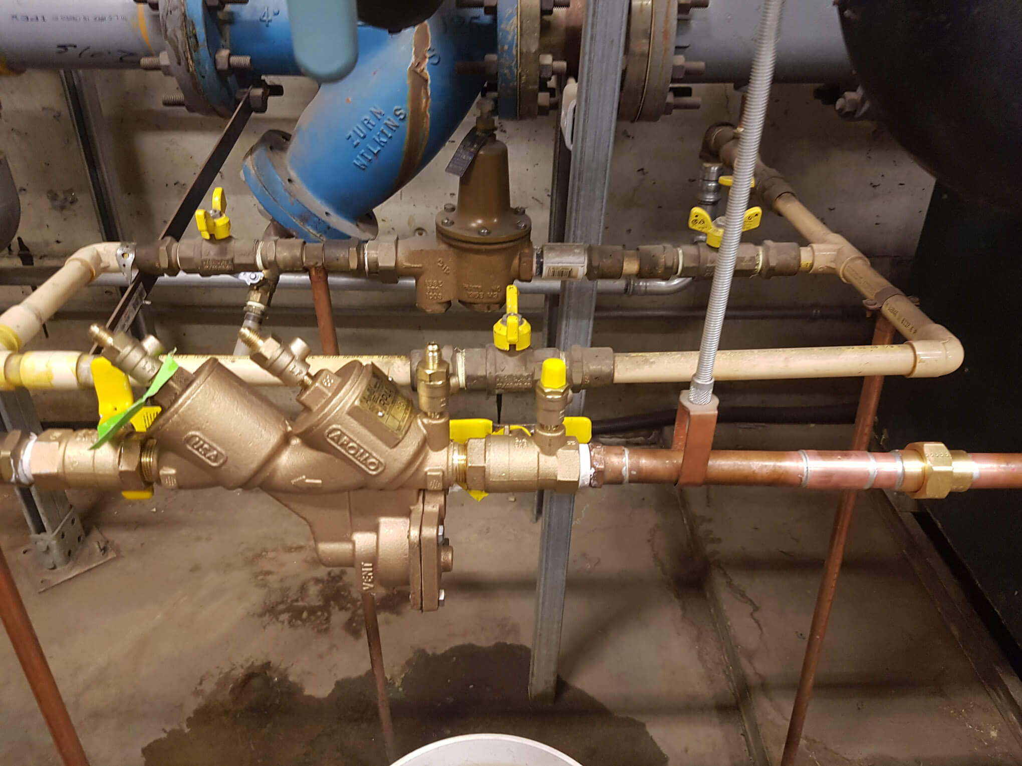 Backflow test image