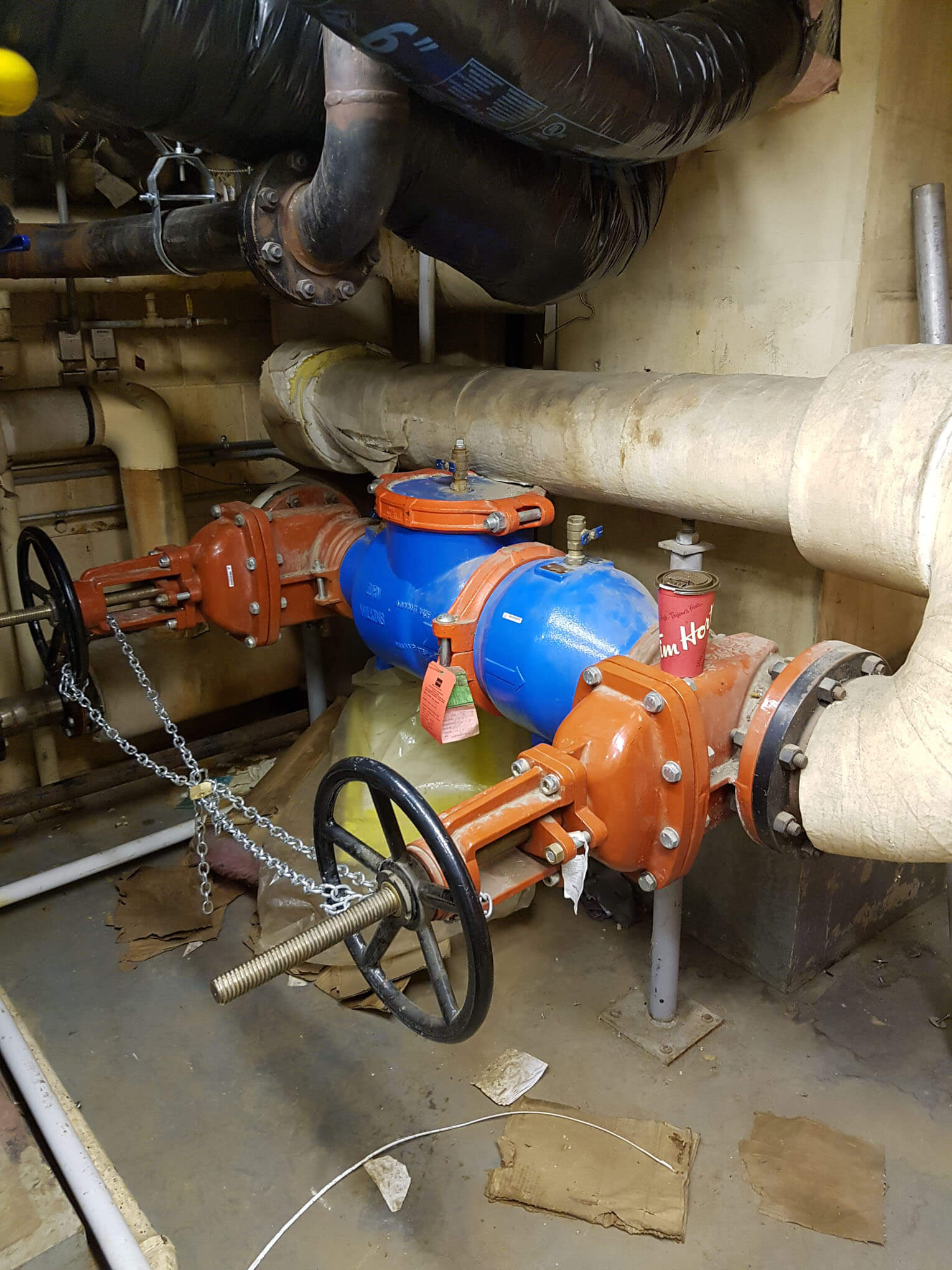 Backflow test image