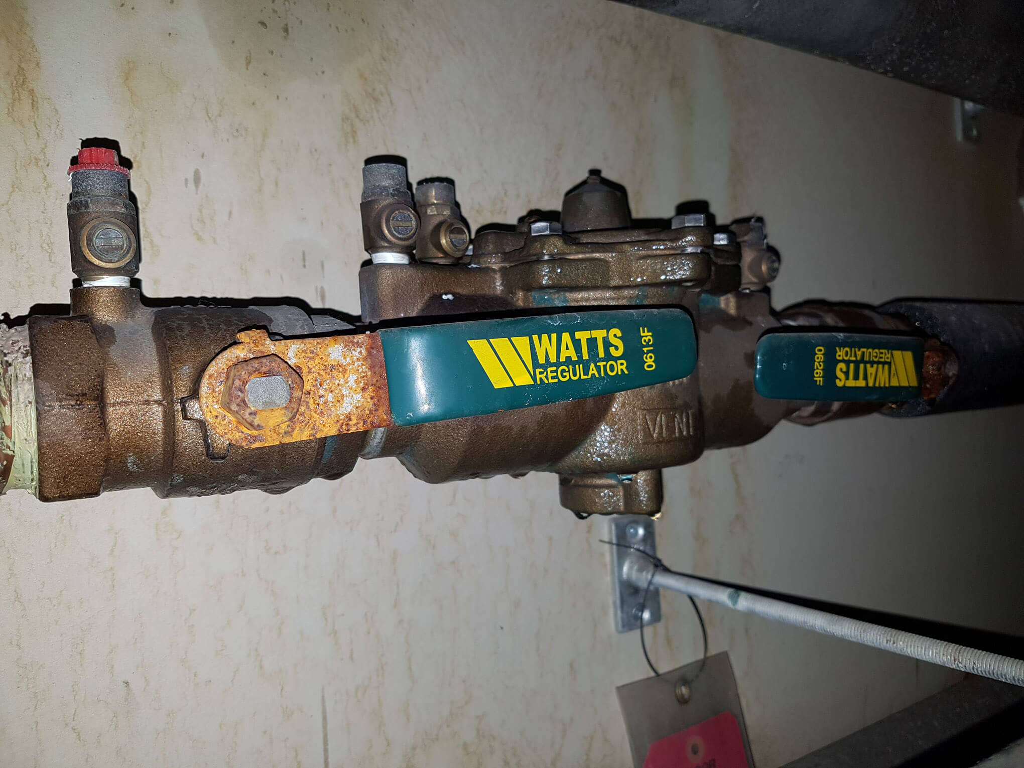 Backflow test image