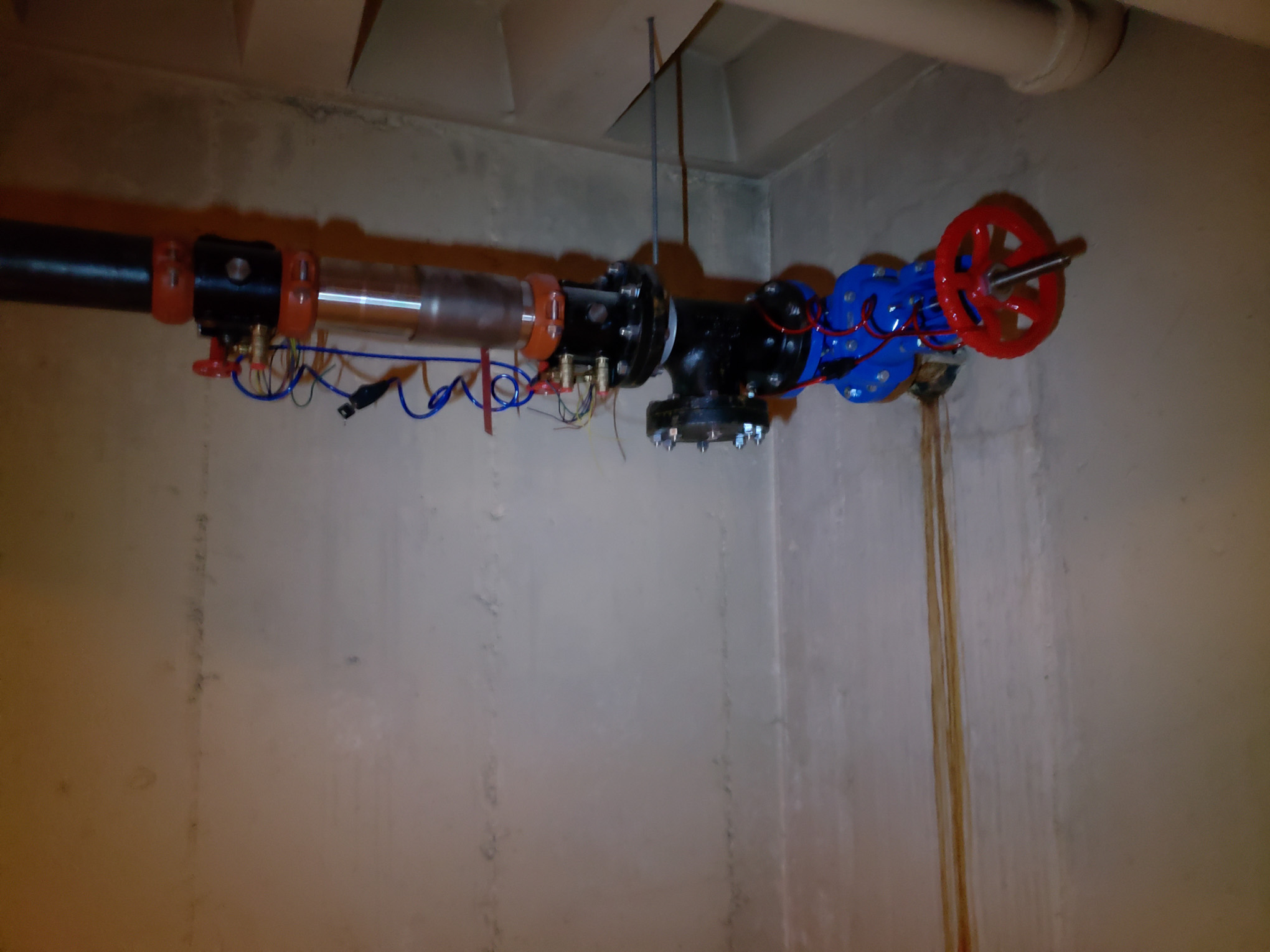 Backflow test image