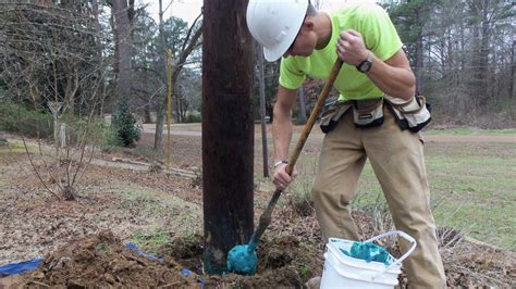 Utility pole treatment and restoration services