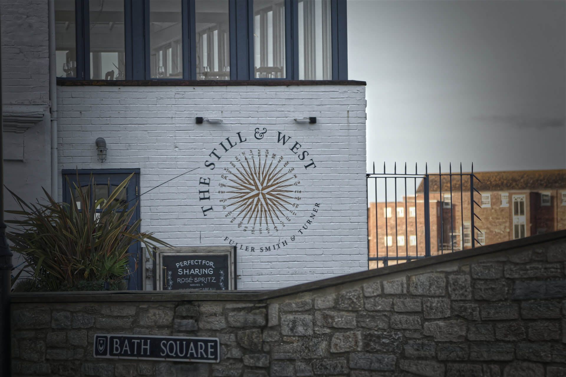 still and west pup in southsea
