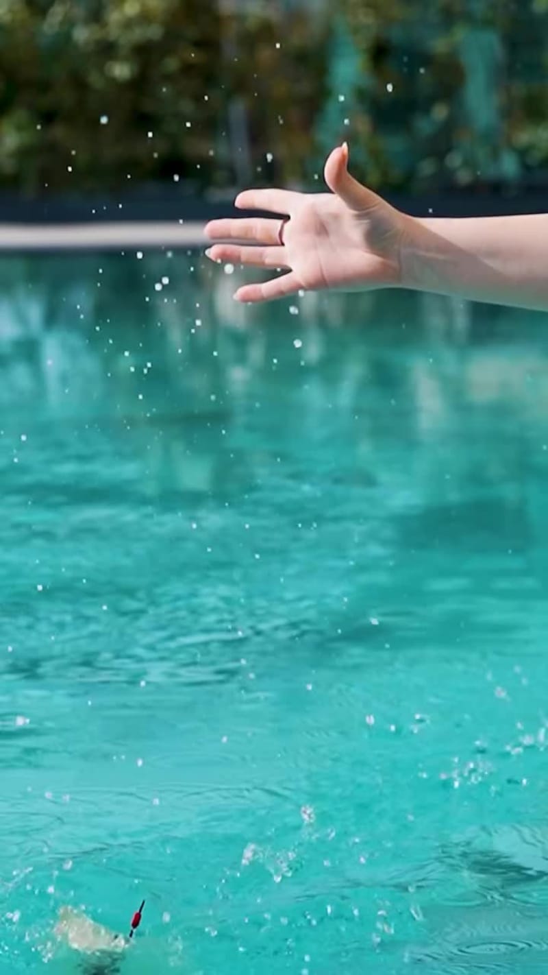 Pool / Creative Reverse Edit