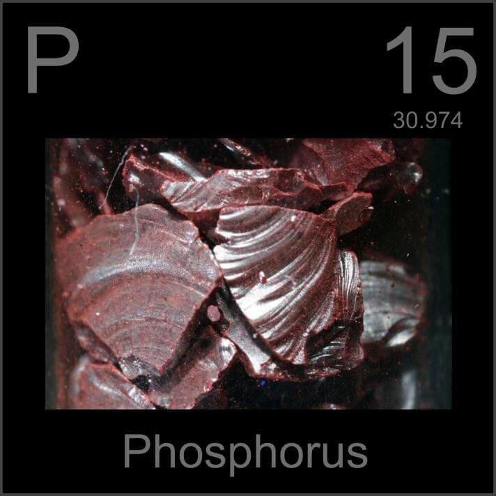 PHOSPHOROUS