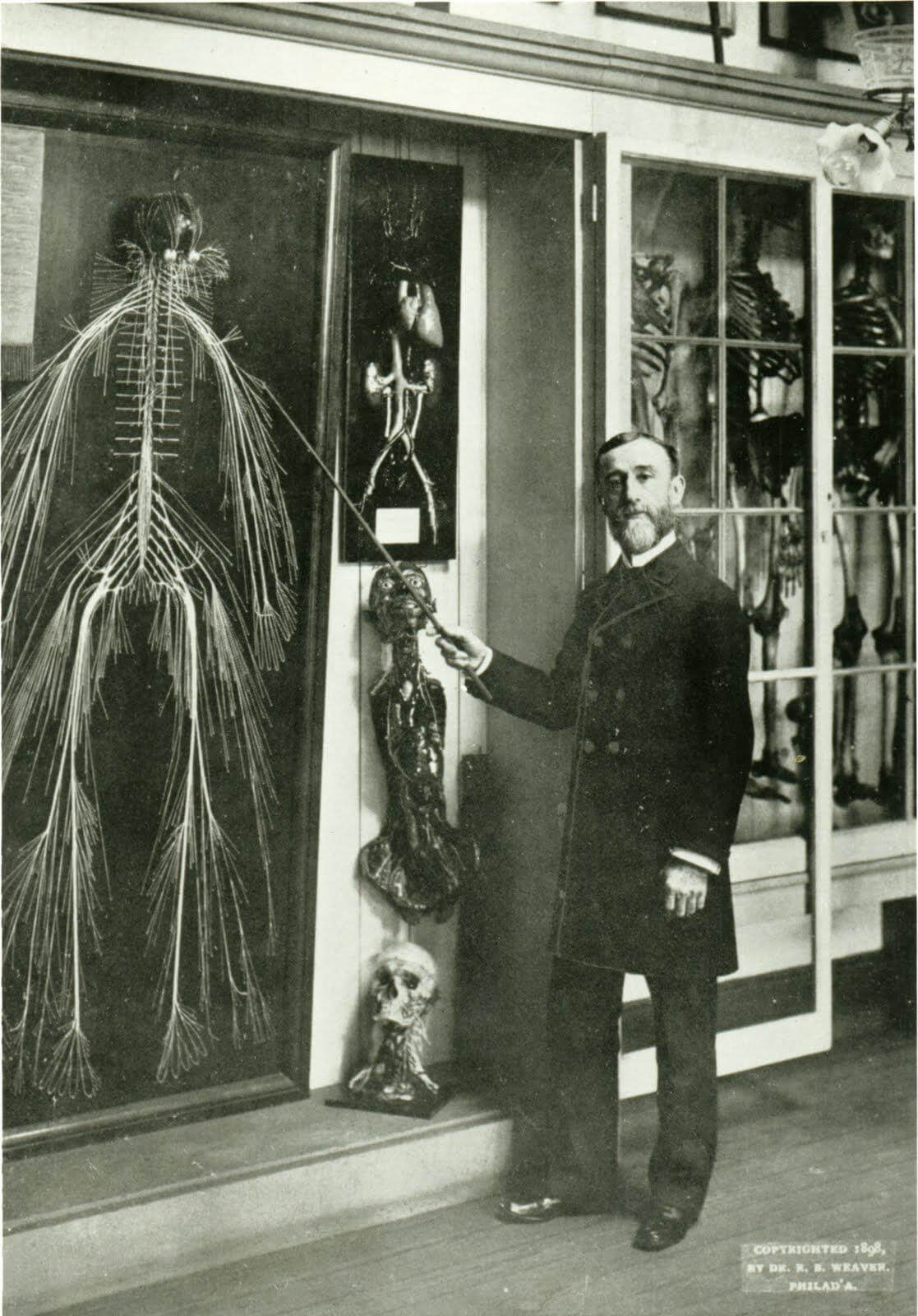 please meet Dr. Rufus Weaver, Professor of Anatomy at Hahnemann Medical College in the 1880s. He joi...