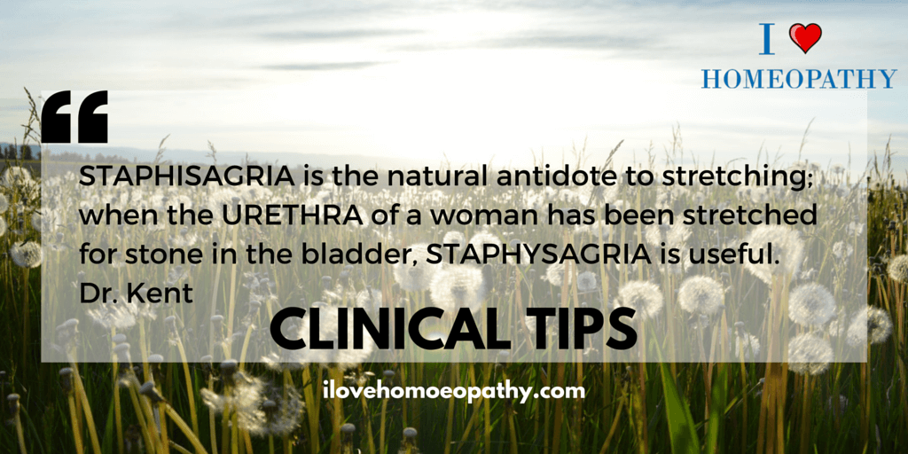 STONES IN URETHRA
