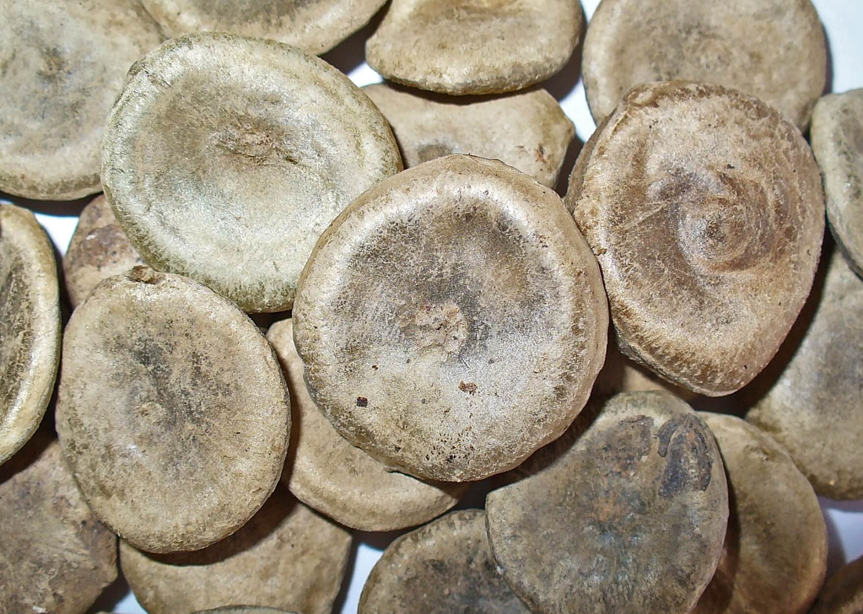 NUX VOMICA