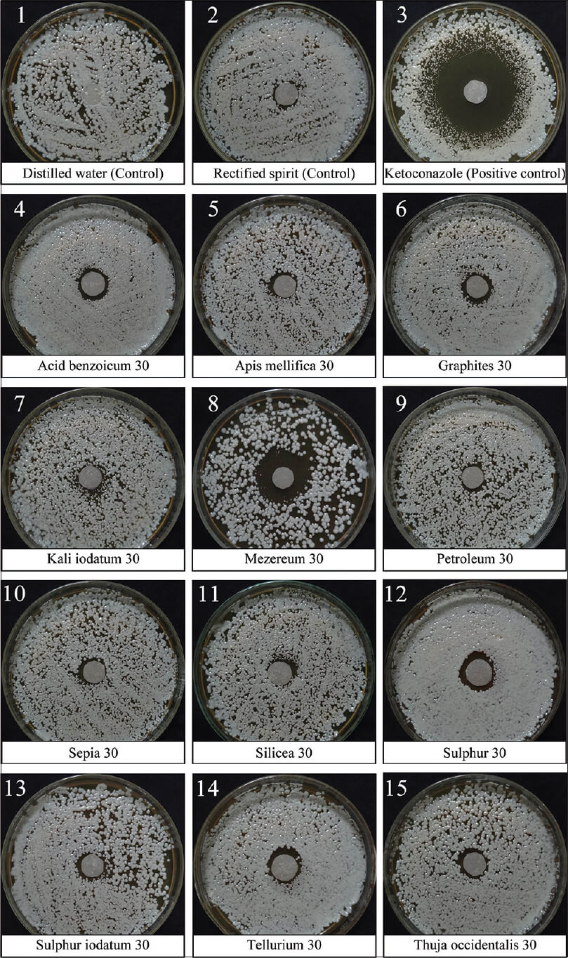 Anti-candidal activity of homoeopathic drugs: An in-vitro evaluation