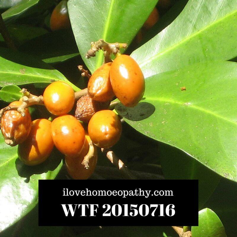 WTP 20150723
