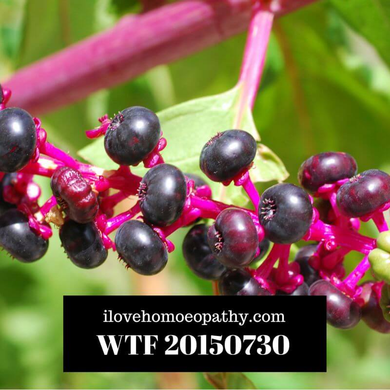 WTP 20150730