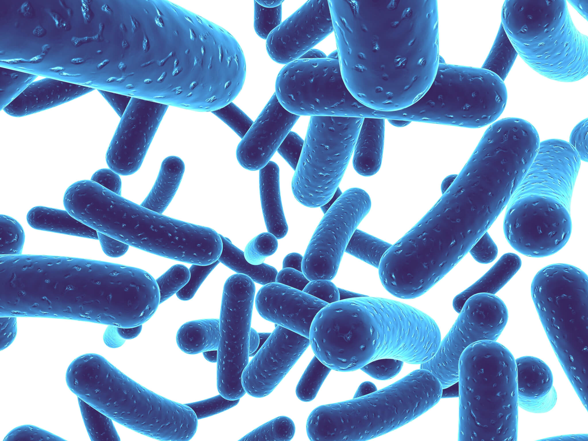 Probiotic Foods