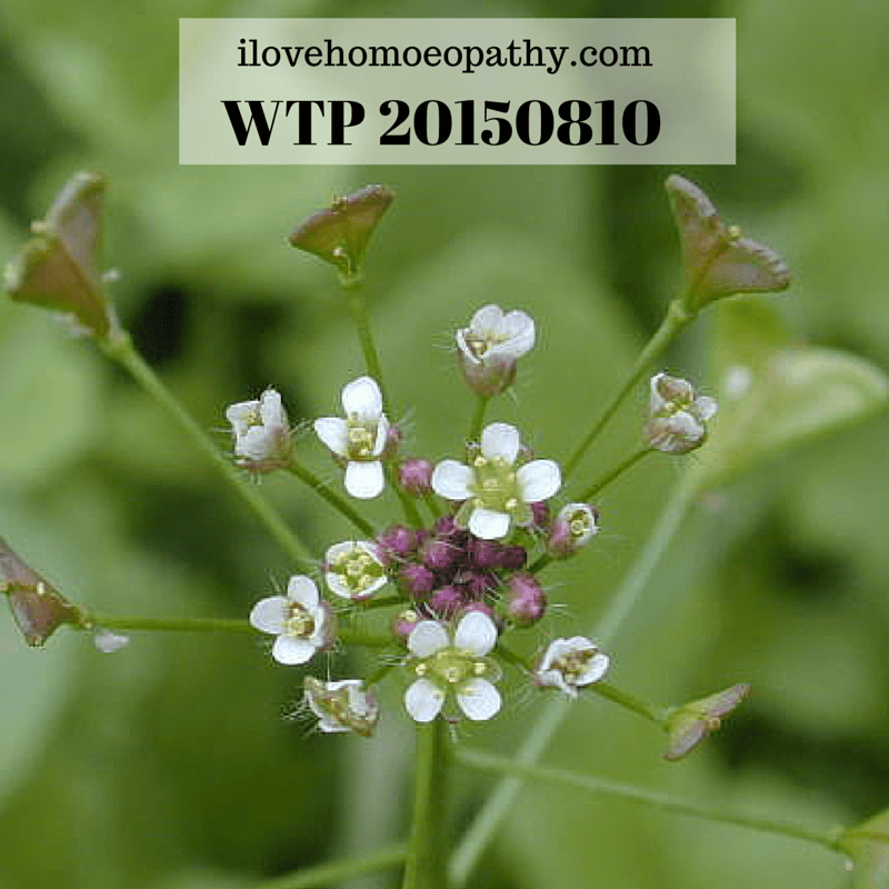 WTP 20150810