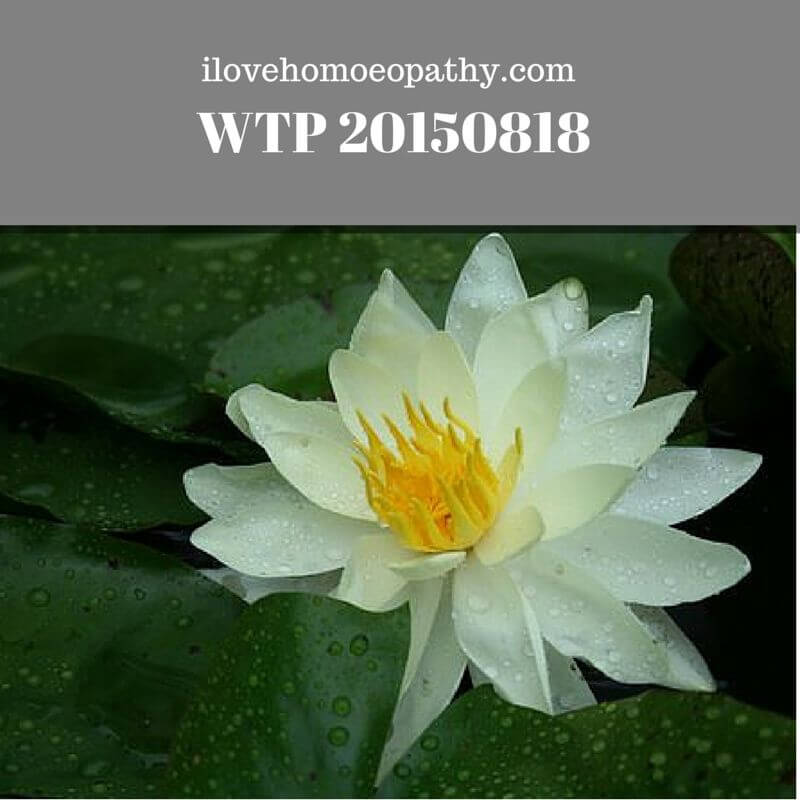 WTP 20150818